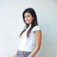 Nikita Narayan at It's My Love Story Movie Preemeet - Pictures | Picture 116729